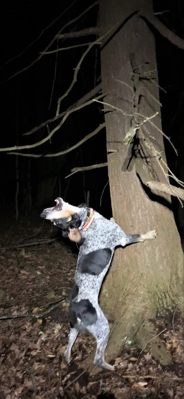 Resized_IMG_4132 (1)