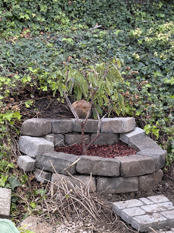 A8EED34B-02B8-4C18-A5A6-EB3C97E4864D