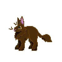 rabbit-m-duch-Rusty-1.gif