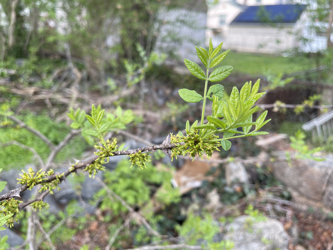 91F52541-DEE9-4A05-AB2E-0E74484FDA6C