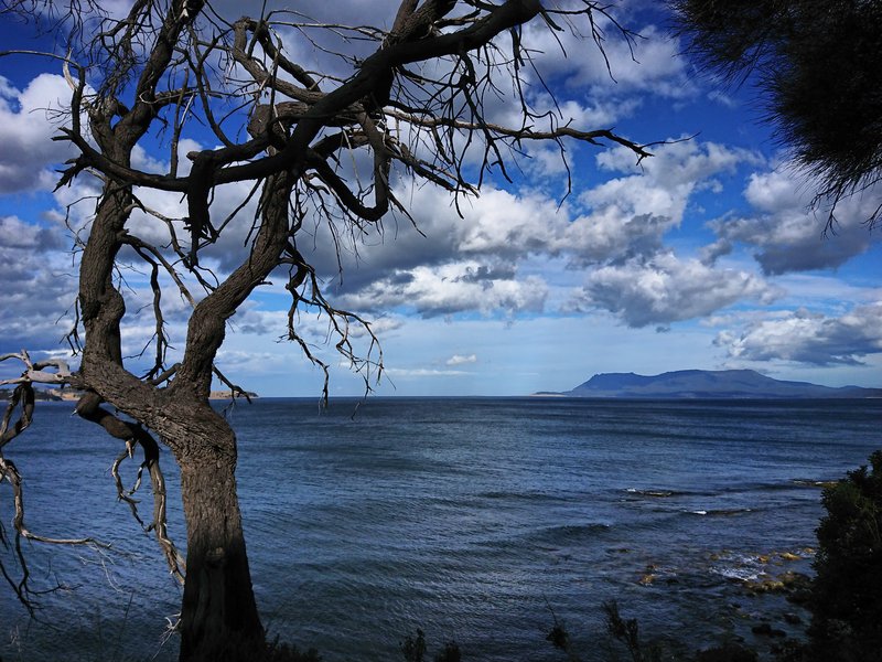 IMG-20201218-175827-DRO.jpg