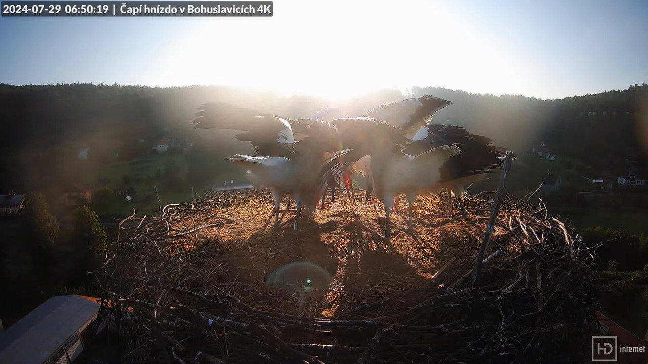 Tiešraidē no uzņēmuma KARA stārķa skursteņa Bohuslavicē pie Trutnovas 8-12-4 screenshot