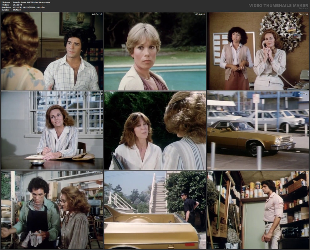 Barnaby Jones S08E09 False Witness.mkv