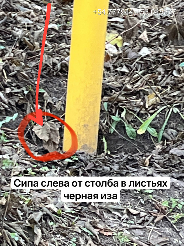 IMG 20251103 012316 225