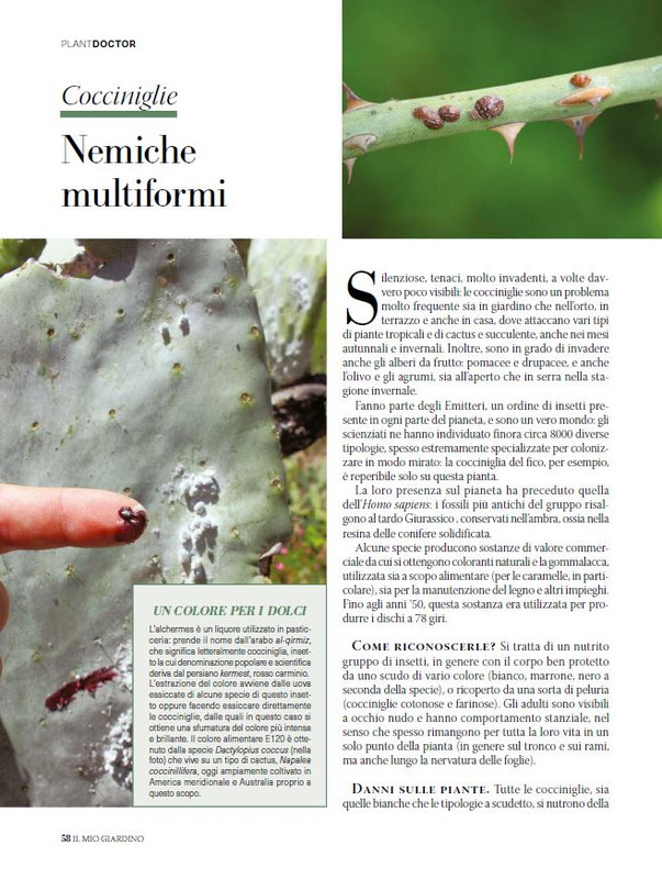 Il Mio Giar Ott-Nov 2024 (7)