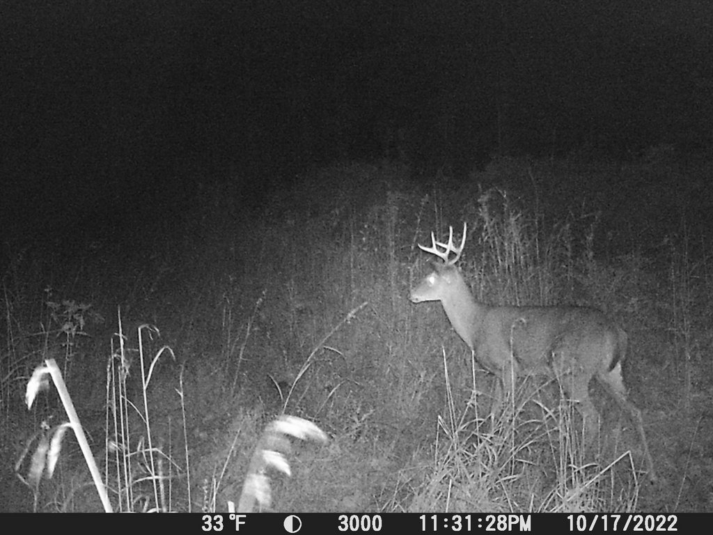 CBDA7F12-52A6-4C1D-AEB6-227F2EC0FB8A