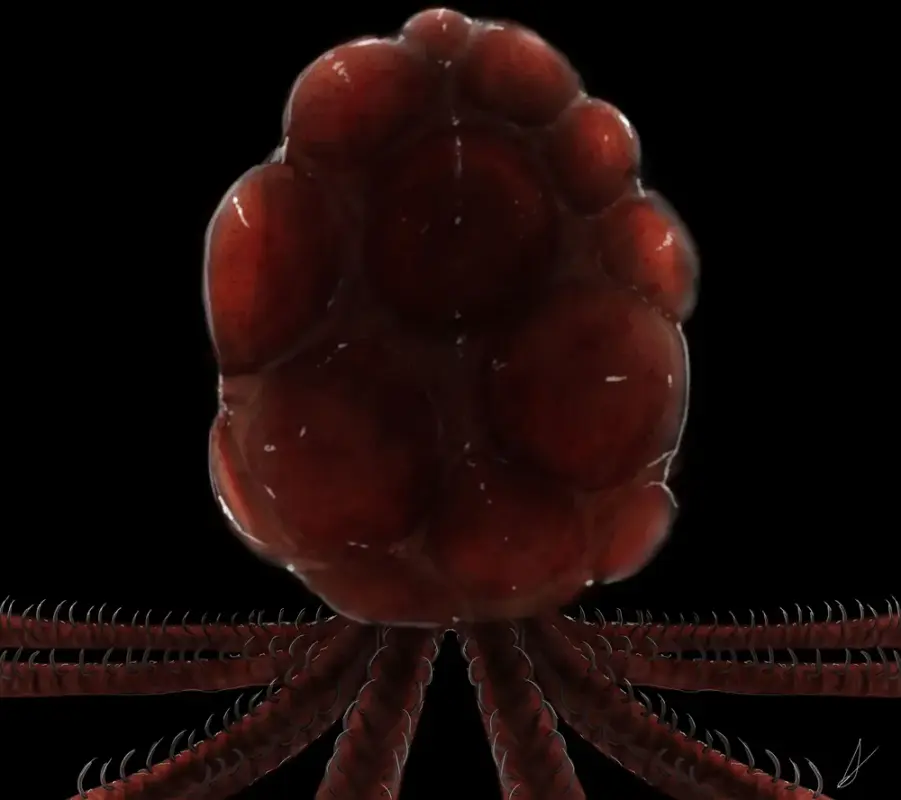 하베스터(Harvester)