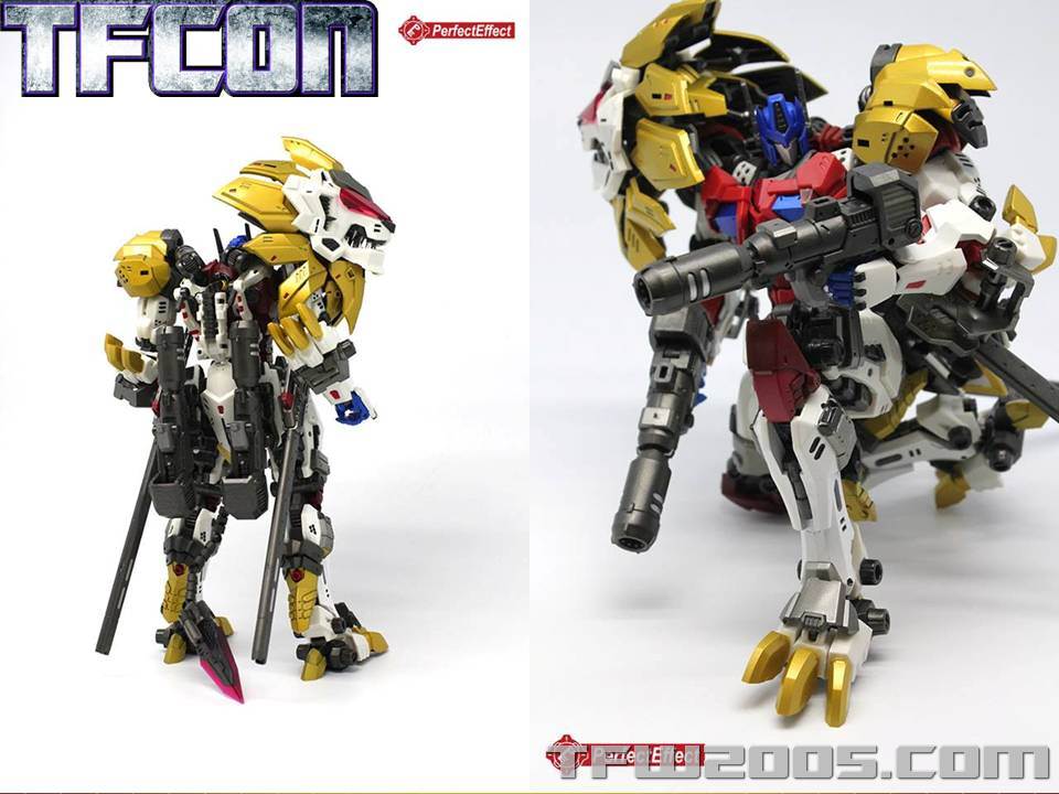 TFCon-USA-2015-326