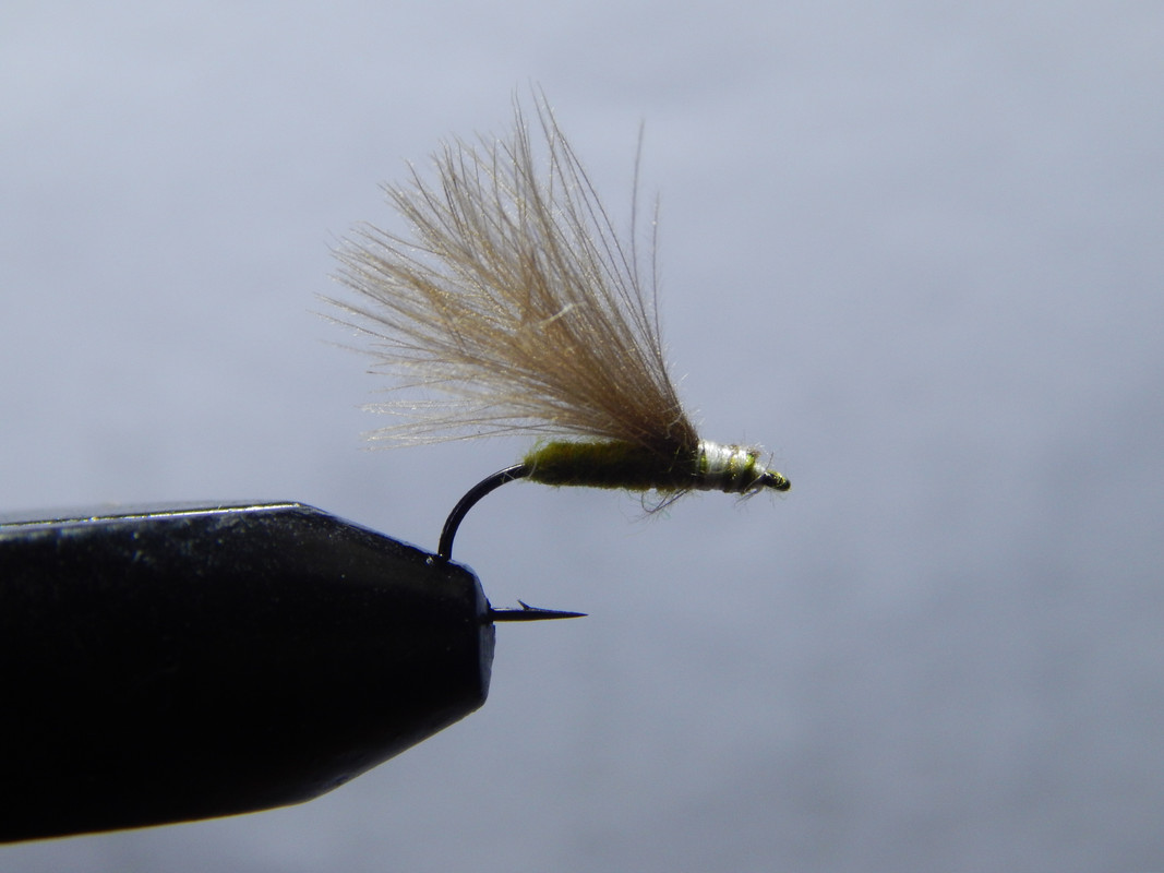 Певрая муха