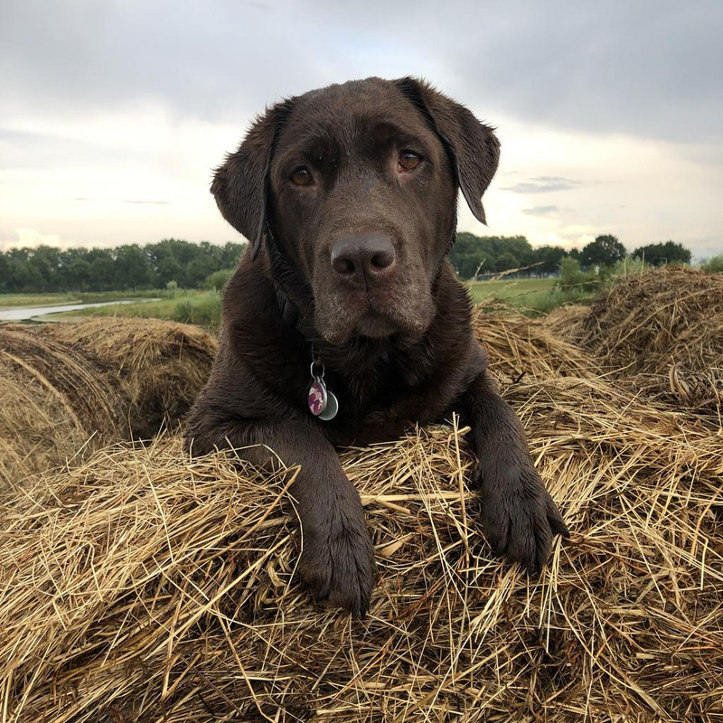 EB38C236-CDBE-49D3-BF68-3BB81667B1FA