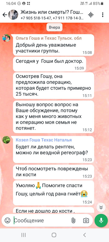 Screenshot-20240813-160453-Whats-App.jpg
