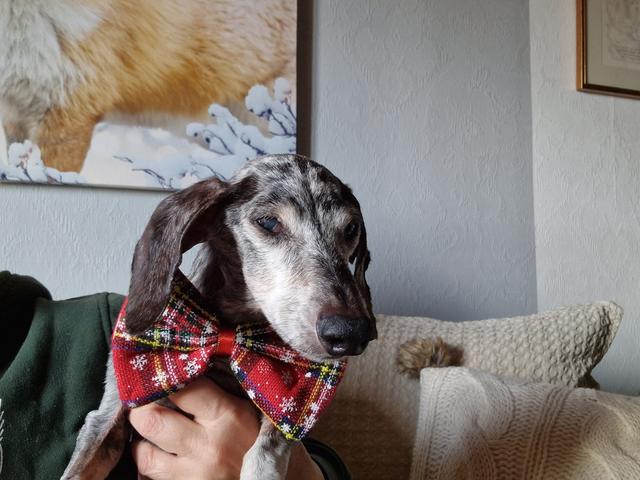 [Image: 20251204-114531.jpg]