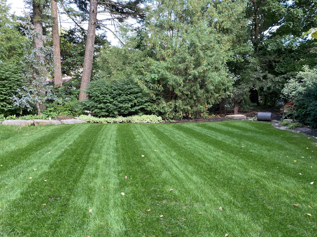 88734130-BB75-4C1A-B18D-A6420E5D16A1