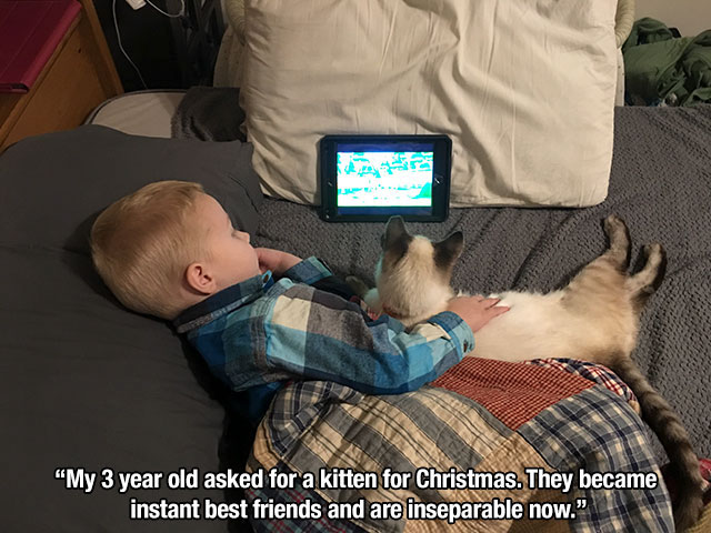 heartwarming-photos-15