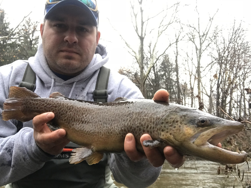 178AC17A-365C-4737-9BA1-0B9F1050E69A