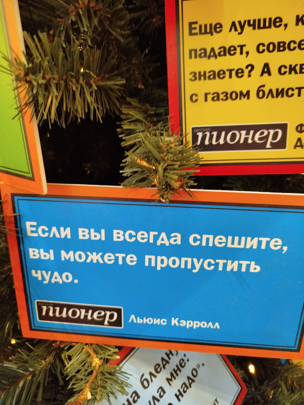 Ладья и Предновогодняя Москва 2025 112