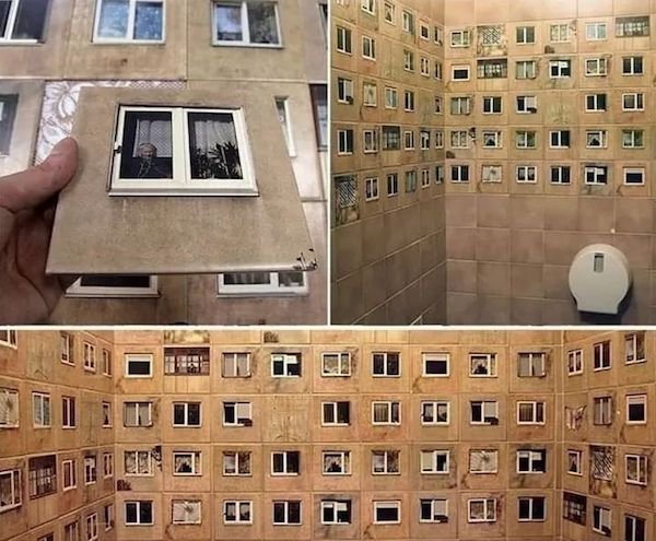 WTF-21