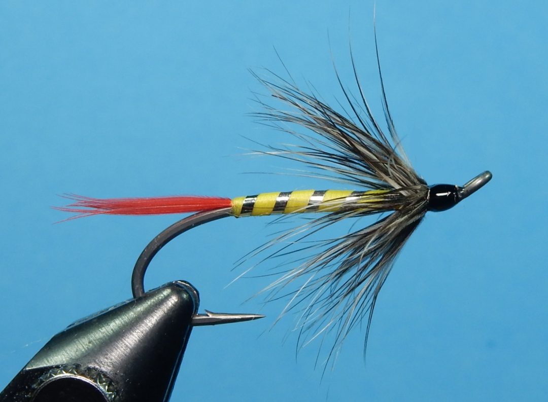 Gray-Hackle-Yellow-1080.jpg