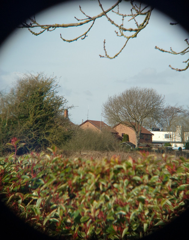 IMG_20250331_160819_280~2