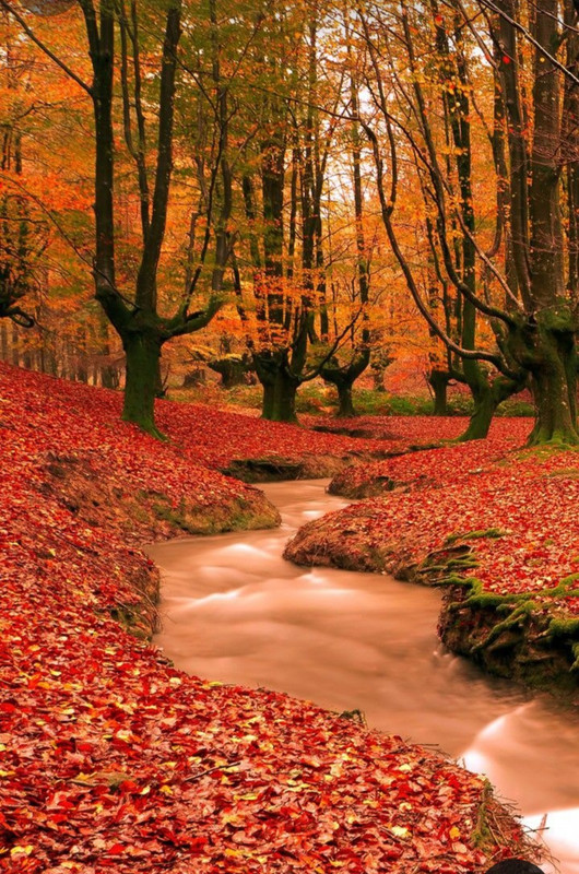 Screenshot_20240218_211535_Pinterest