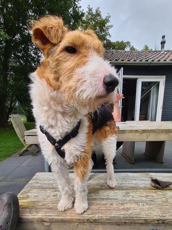 B35E54FB-748E-4B9A-891B-1CA58DFF0C66