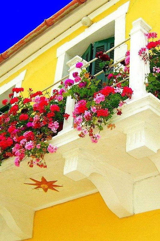 yellowfloralbalcony.jpg