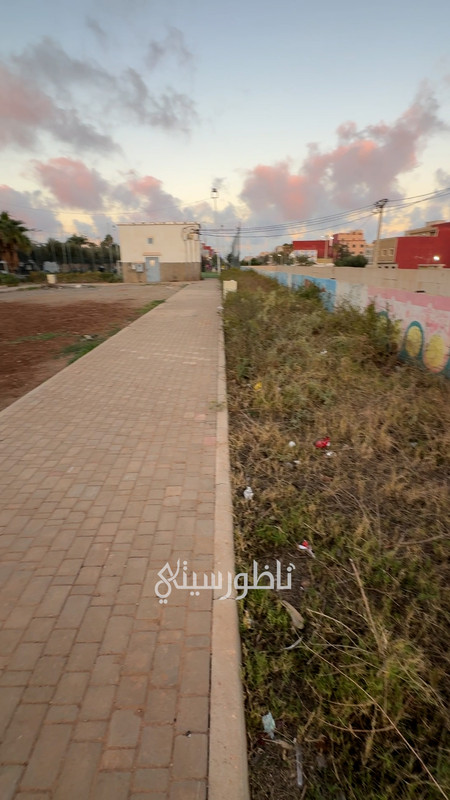 ALALI-00-03-19-01-Still018
