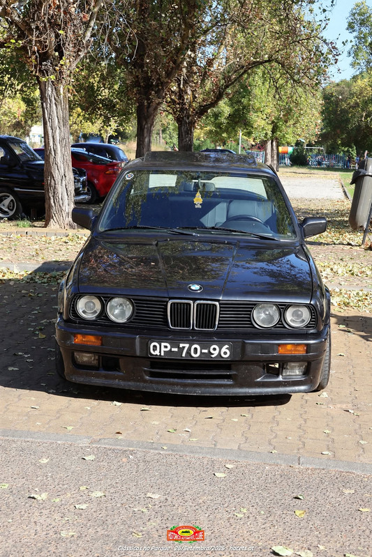 IMG 7253