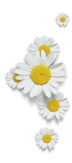 Kit_Just_Bee_In_ME (46)