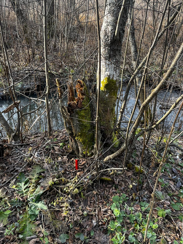 photo 1 2025 11 04 19 58 49