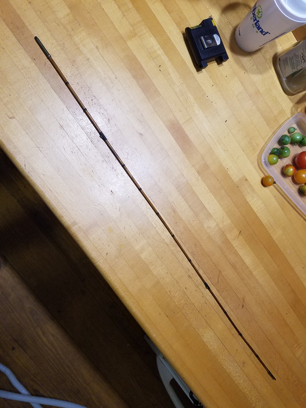 20210722_192355_resized_1