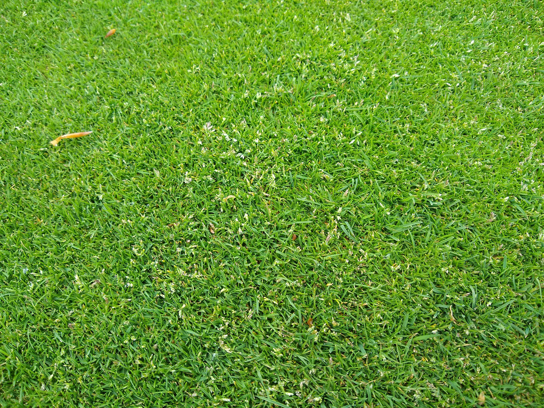 IMG_20200501_105547104