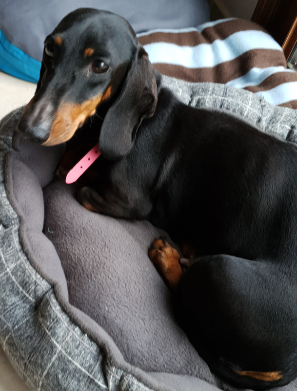 [Image: 20210219-170644.jpg]