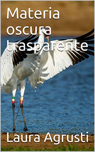 Laura Agrusti – Materia oscura trasparente (2020)