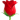 https://i.postimg.cc/W1Ptsfgb/0-171.png