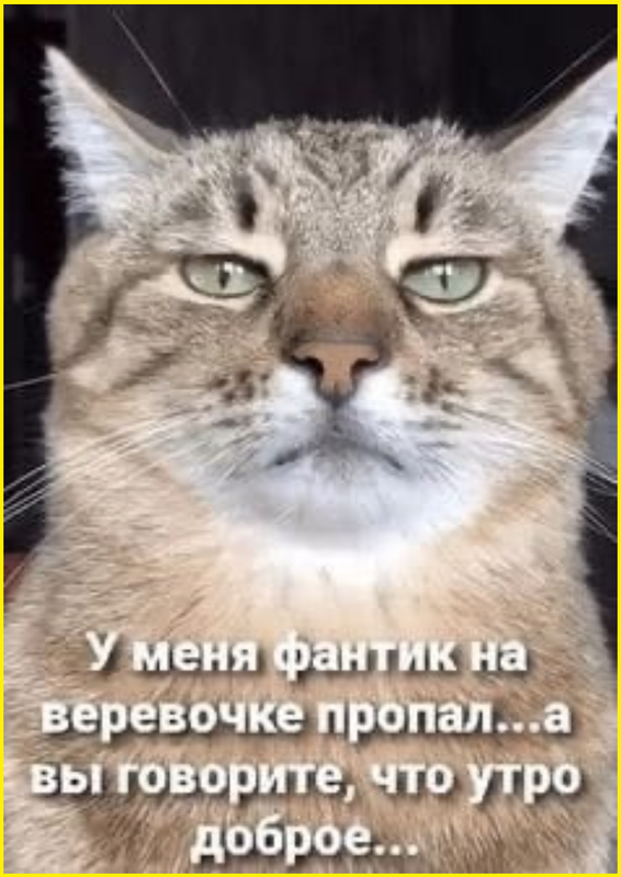 image-3281.png