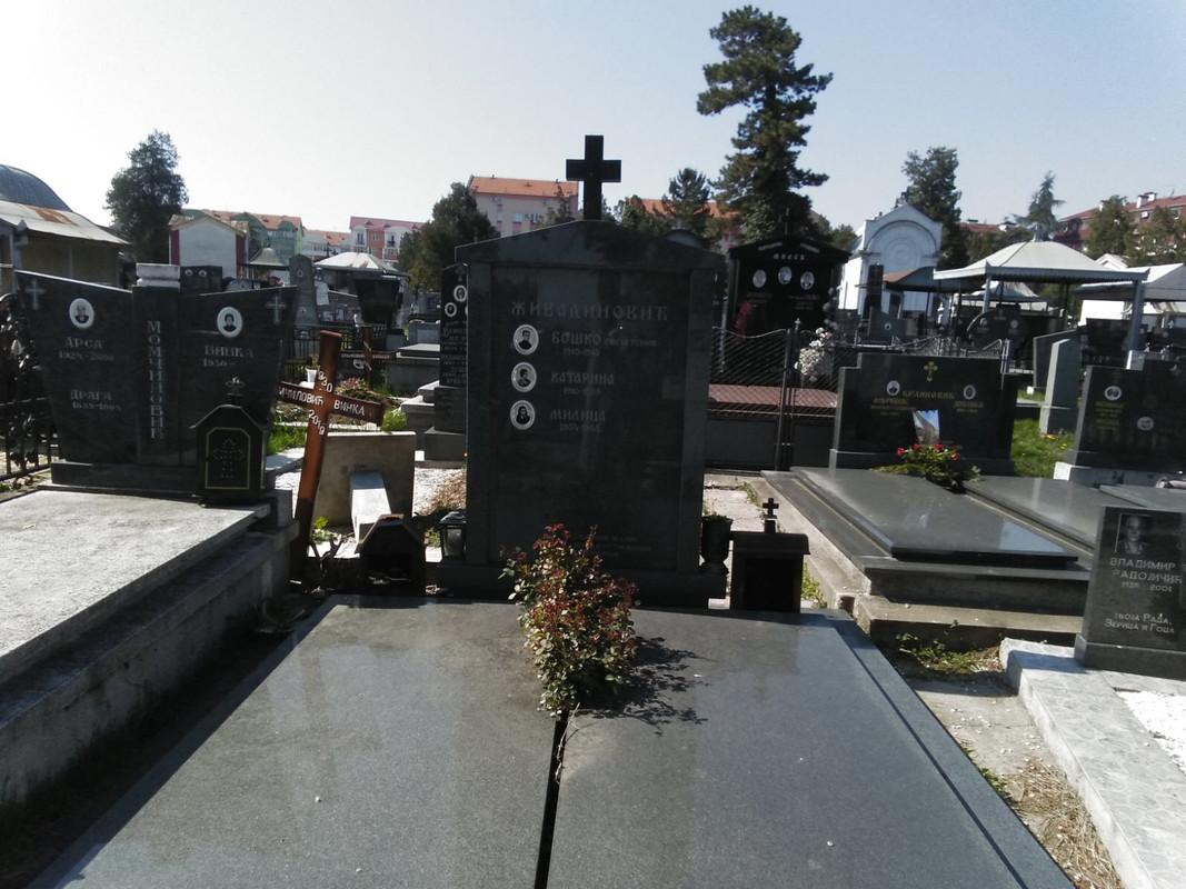 [Слика: D58-D182-D-6-FAC-4621-AA3-E-25-D3-C75483-E1.jpg]