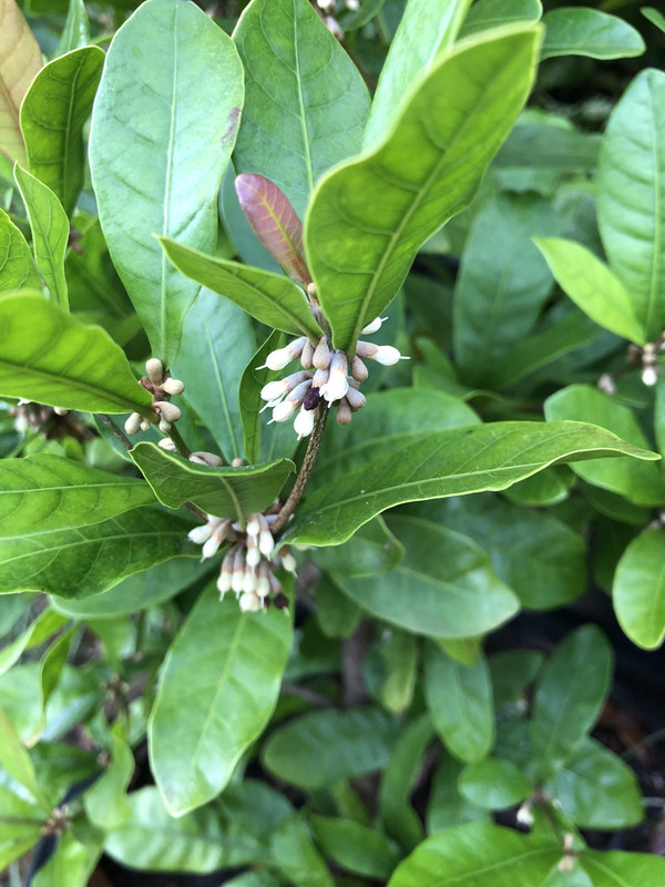 10E8AA95-7737-4D0C-9546-5B1933B26714