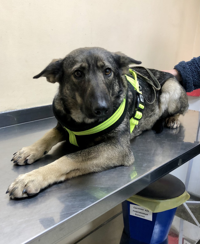 7BFD78CD-B9BA-4F52-801E-DDD64913A194