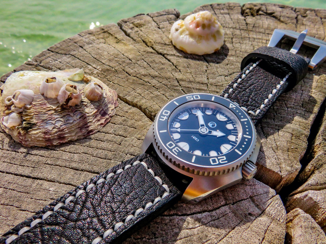Votre montre du jour - Page 4 IMG-8887-1-1600x1200