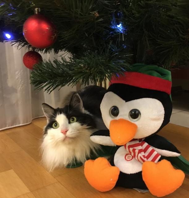 4-EE657-E3-8636-4643-9556-D06-DEAF7120-E