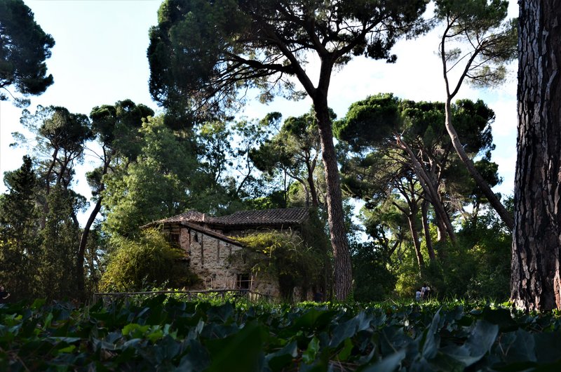PARQUE EL CAPRICHO-2013-2022-MADRID - Paseando por España-1991/2016 (221)