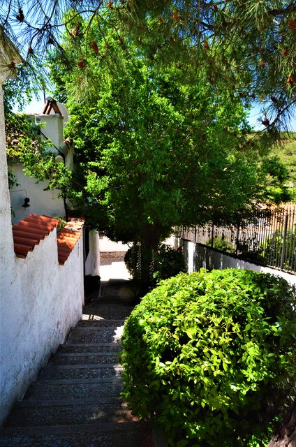 Madrid y sus pueblos-2000/2022 - Blogs of Spain - OLMEDA DE LAS FUENTES-5-6-2020 (21)
