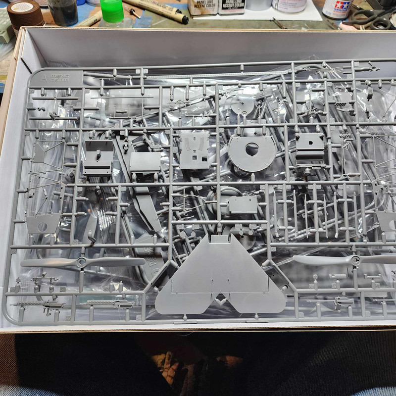 483373458_1305865334049636_290295437132381724_n