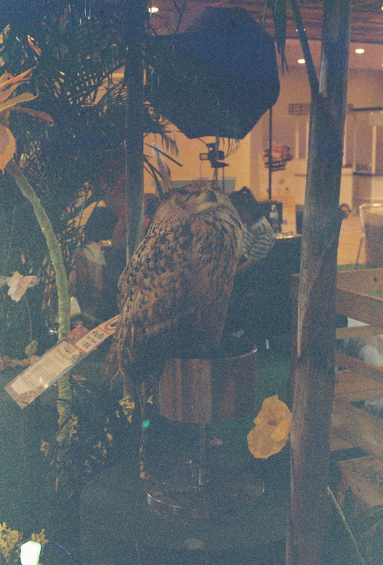 Vision3-250D-Spot-37