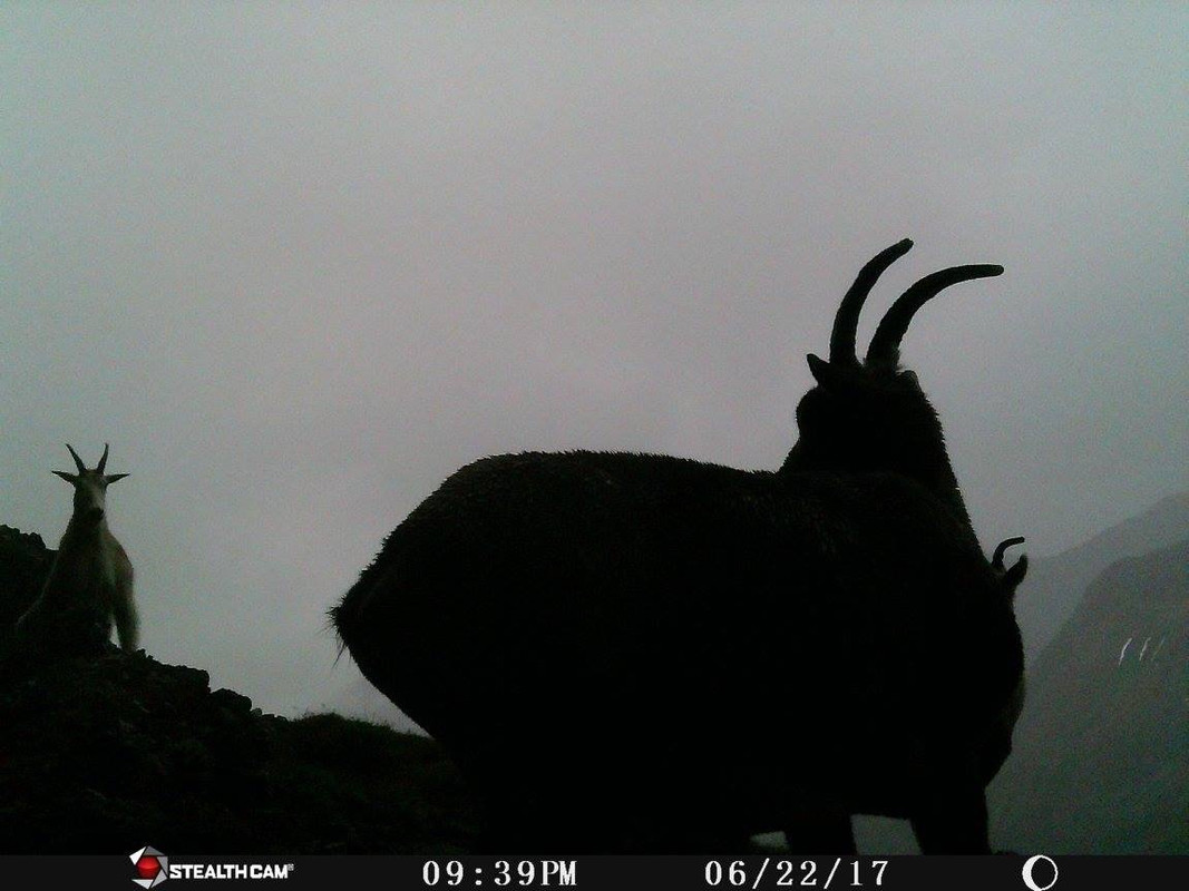 31037EBF-B67B-4FFD-9305-F50D88384FB4