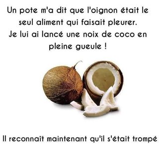 Humours - Page 15 Noix-de-coco