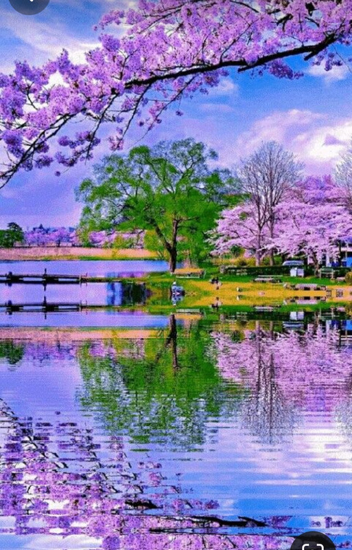 Screenshot_20240512_194506_Pinterest