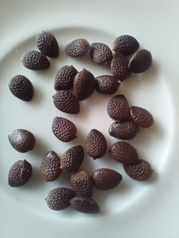 IMG 20251128 WA0003