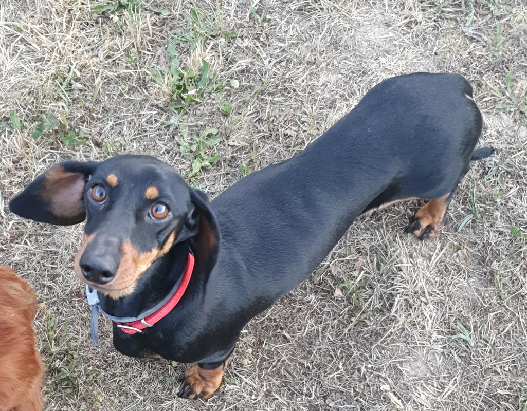 [Image: 20220718-184734.jpg]